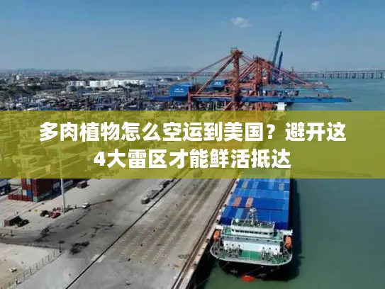 多肉植物怎么空运到美国？避开这4大雷区才能鲜活抵达