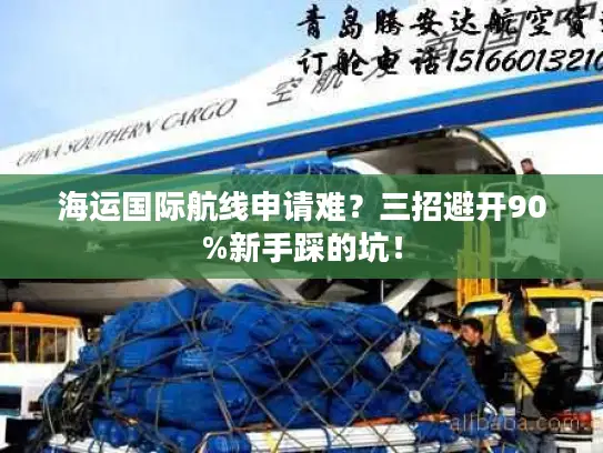 海运国际航线申请难？三招避开90%新手踩的坑！