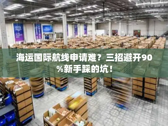 海运国际航线申请难？三招避开90%新手踩的坑！