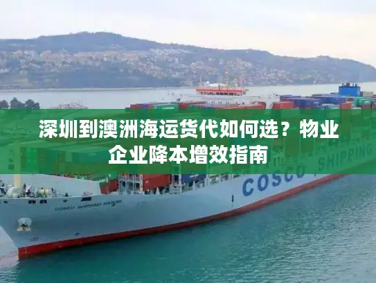 深圳到澳洲海运货代如何选？物业企业降本增效指南