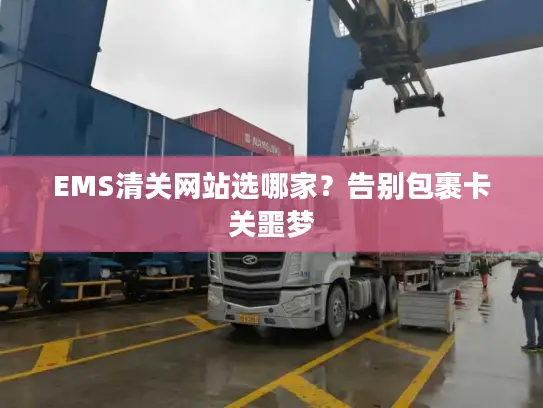EMS清关网站选哪家？告别包裹卡关噩梦