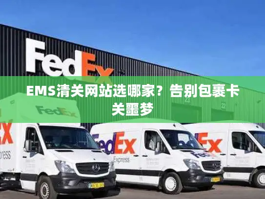EMS清关网站选哪家？告别包裹卡关噩梦