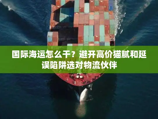 国际海运怎么干？避开高价猫腻和延误陷阱选对物流伙伴
