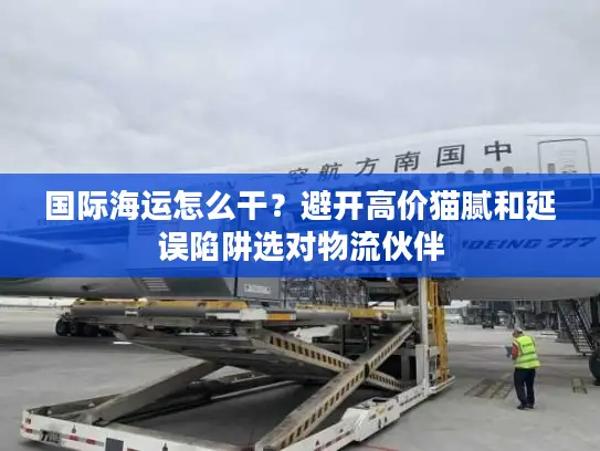 国际海运怎么干？避开高价猫腻和延误陷阱选对物流伙伴