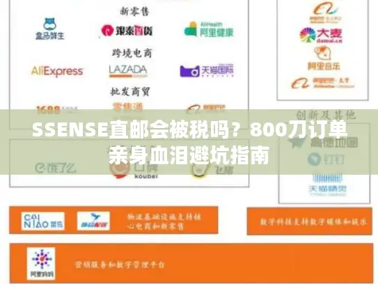 SSENSE直邮会被税吗？800刀订单亲身血泪避坑指南