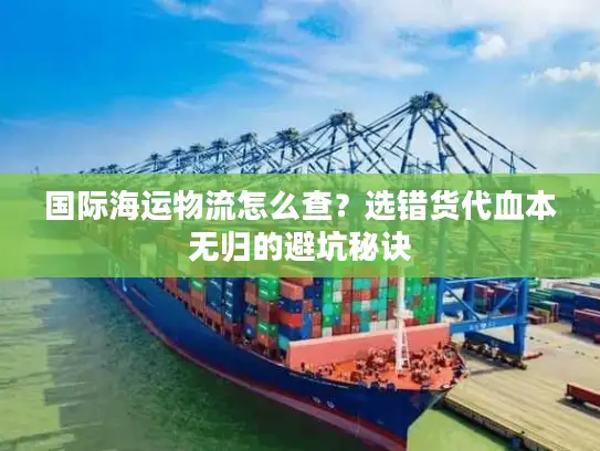 国际海运物流怎么查？选错货代血本无归的避坑秘诀