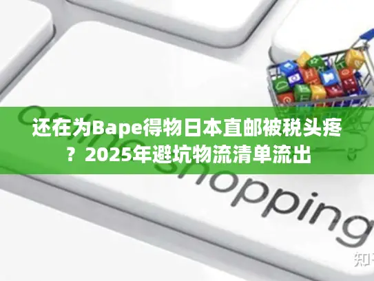 还在为Bape得物日本直邮被税头疼？2025年避坑物流清单流出