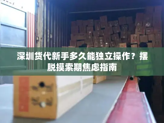 深圳货代新手多久能独立操作？摆脱摸索期焦虑指南