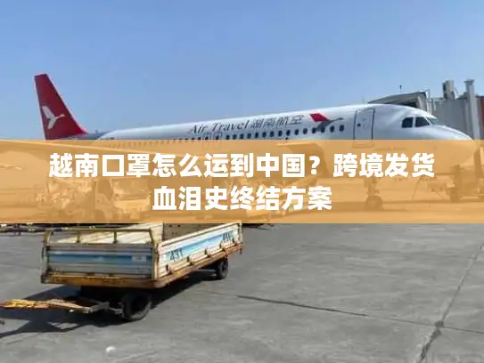 越南口罩怎么运到中国？跨境发货血泪史终结方案