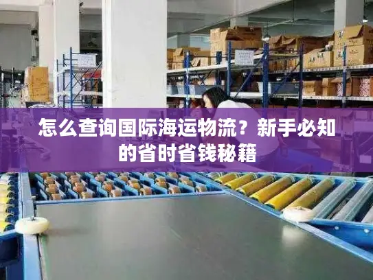 怎么查询国际海运物流？新手必知的省时省钱秘籍