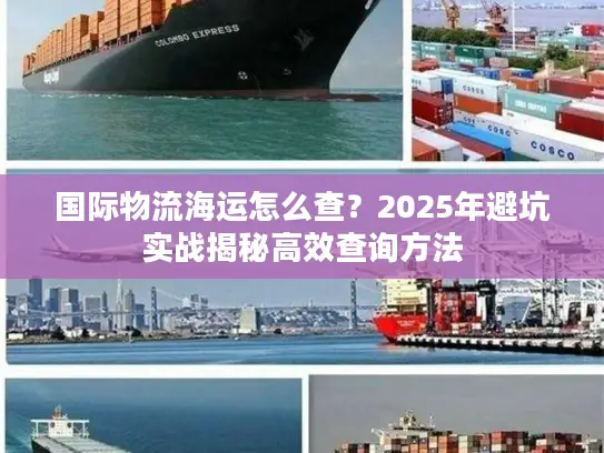 国际物流海运怎么查？2025年避坑实战揭秘高效查询方法