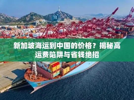 新加坡海运到中国的价格？揭秘高运费陷阱与省钱绝招
