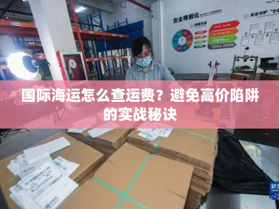 国际海运怎么查运费？避免高价陷阱的实战秘诀