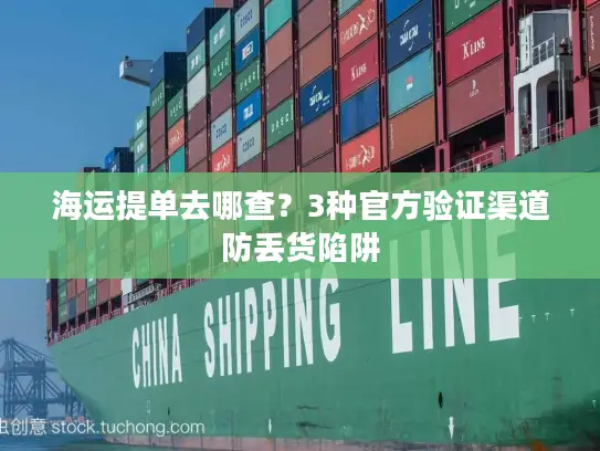 海运提单去哪查？3种官方验证渠道防丢货陷阱