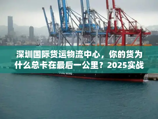 深圳国际货运物流中心，你的货为什么总卡在最后一公里？2025实战拆解）