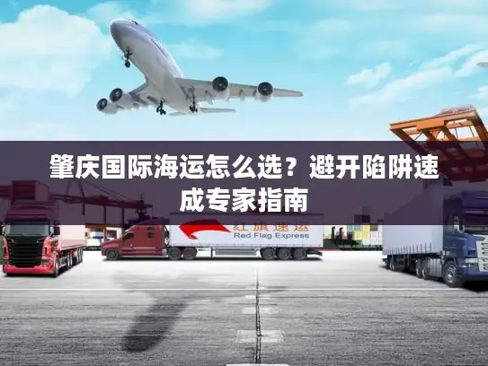 肇庆国际海运怎么选？避开陷阱速成专家指南