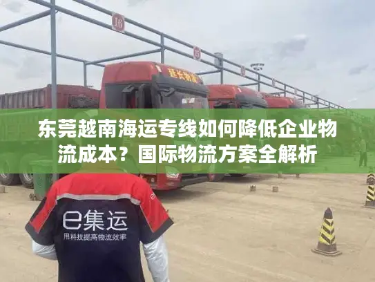 东莞越南海运专线如何降低企业物流成本？国际物流方案全解析