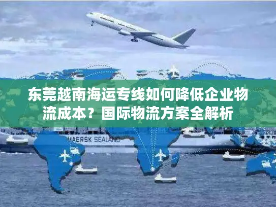 东莞越南海运专线如何降低企业物流成本？国际物流方案全解析