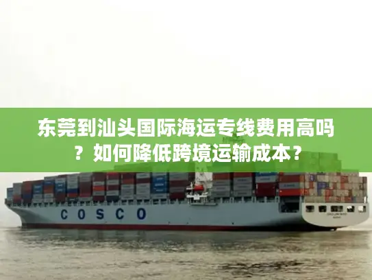 东莞到汕头国际海运专线费用高吗？如何降低跨境运输成本？