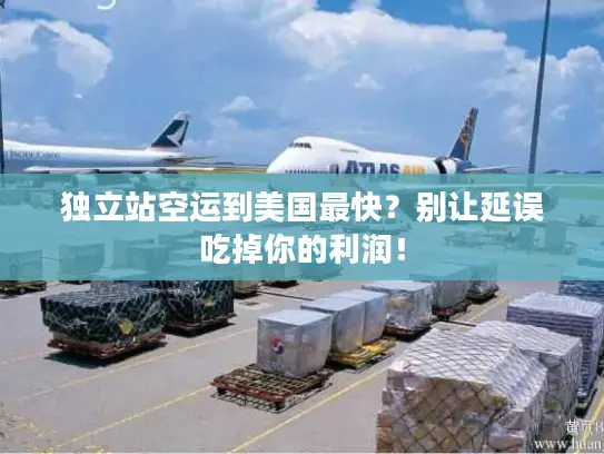 独立站空运到美国最快？别让延误吃掉你的利润！