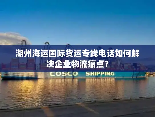 湖州海运国际货运专线电话如何解决企业物流痛点？