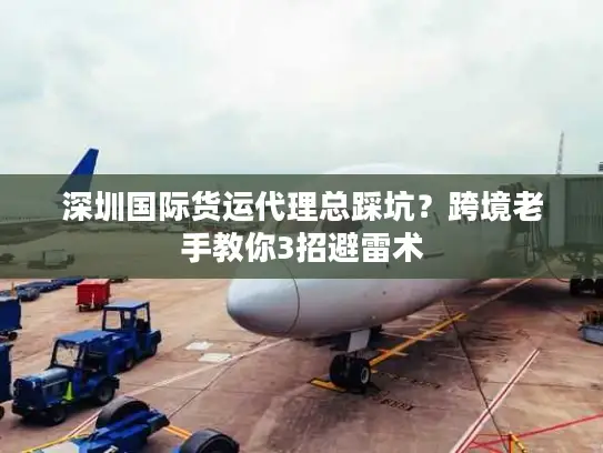 深圳国际货运代理总踩坑？跨境老手教你3招避雷术