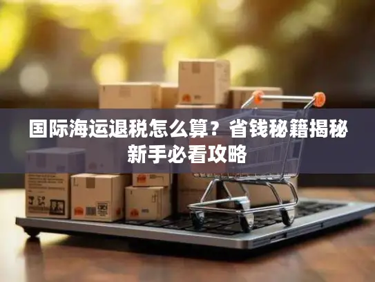 国际海运退税怎么算？省钱秘籍揭秘新手必看攻略