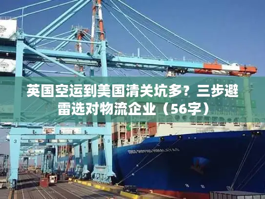 英国空运到美国清关坑多？三步避雷选对物流企业（56字）