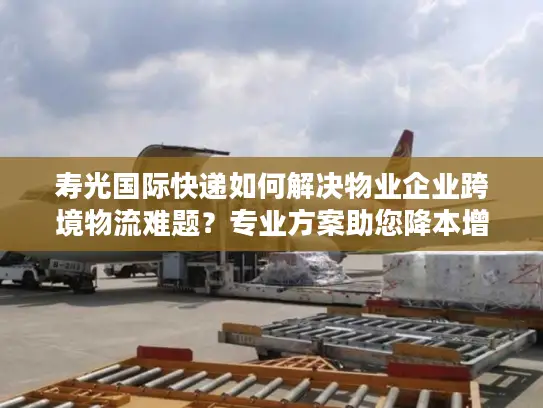 寿光国际快递如何解决物业企业跨境物流难题？专业方案助您降本增效