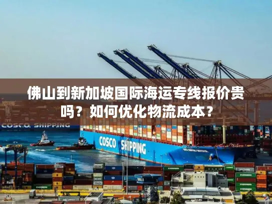 佛山到新加坡国际海运专线报价贵吗？如何优化物流成本？
