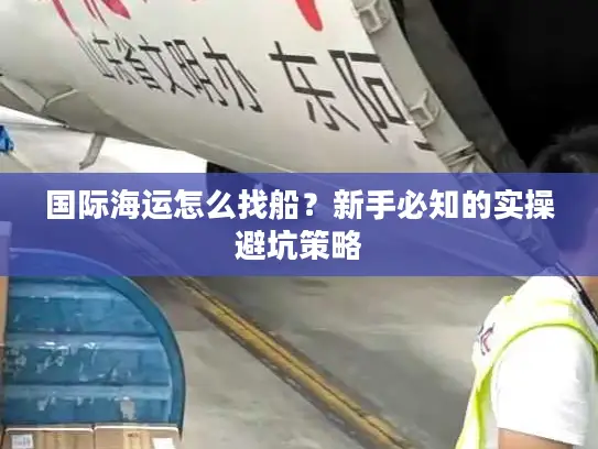 国际海运怎么找船？新手必知的实操避坑策略