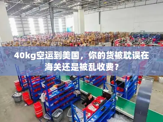 40kg空运到美国，你的货被耽误在海关还是被乱收费？