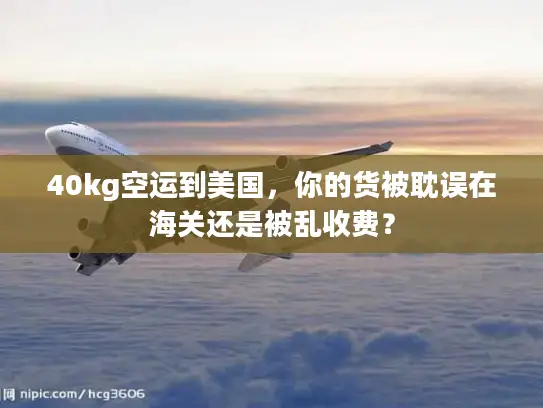 40kg空运到美国，你的货被耽误在海关还是被乱收费？
