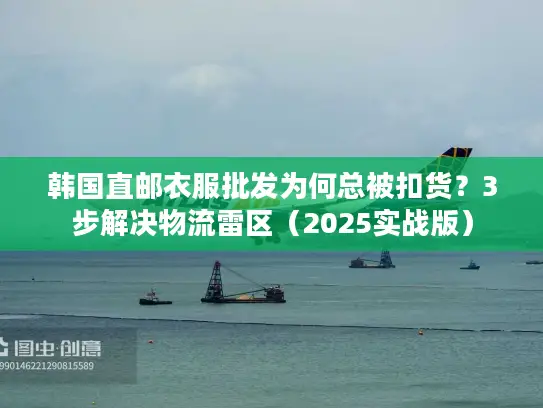 韩国直邮衣服批发为何总被扣货？3步解决物流雷区（2025实战版）