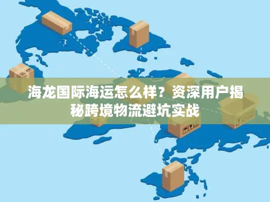 海龙国际海运怎么样？资深用户揭秘跨境物流避坑实战