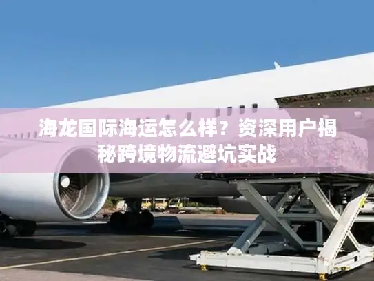 海龙国际海运怎么样？资深用户揭秘跨境物流避坑实战