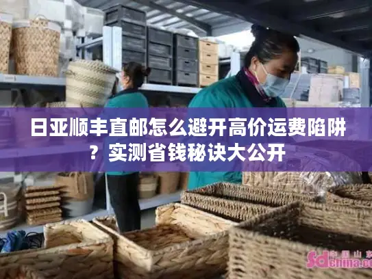 日亚顺丰直邮怎么避开高价运费陷阱？实测省钱秘诀大公开