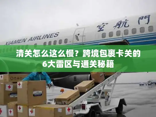 清关怎么这么慢？跨境包裹卡关的6大雷区与通关秘籍
