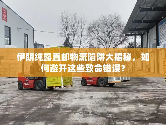 伊朗纯露直邮物流陷阱大揭秘，如何避开这些致命错误？