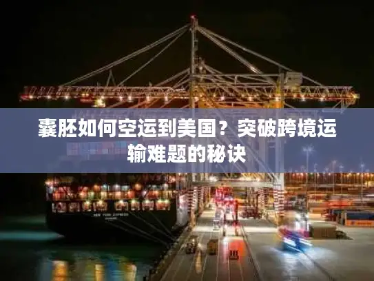 囊胚如何空运到美国？突破跨境运输难题的秘诀