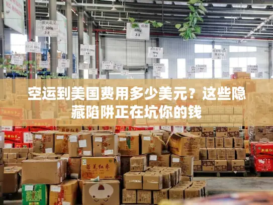 空运到美国费用多少美元？这些隐藏陷阱正在坑你的钱