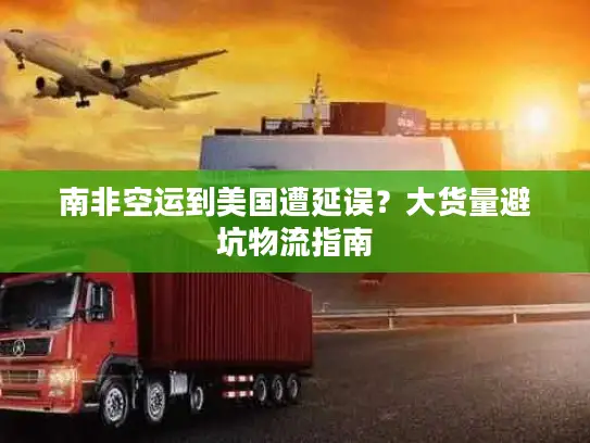 南非空运到美国遭延误？大货量避坑物流指南