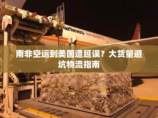 南非空运到美国遭延误？大货量避坑物流指南