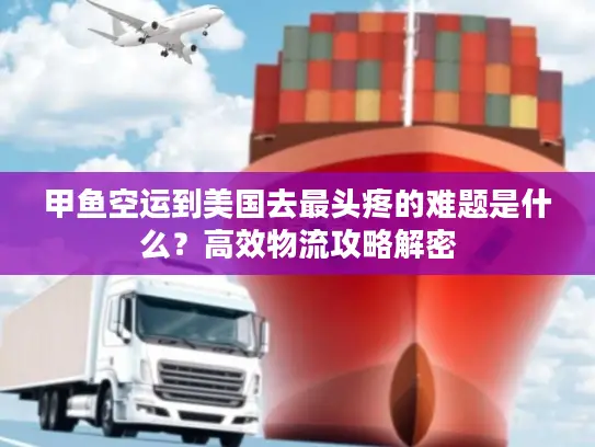 甲鱼空运到美国去最头疼的难题是什么？高效物流攻略解密