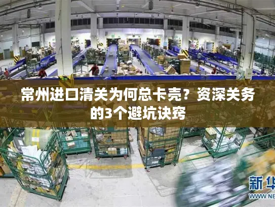 常州进口清关为何总卡壳？资深关务的3个避坑诀窍