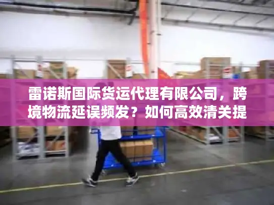 雷诺斯国际货运代理有限公司，跨境物流延误频发？如何高效清关提速货物