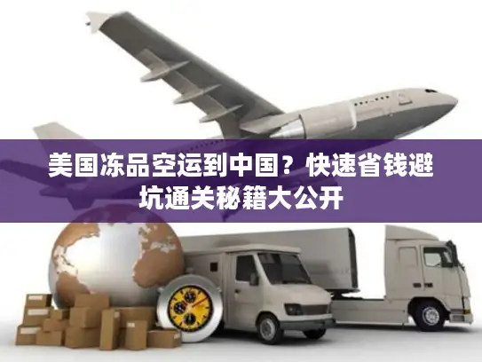 美国冻品空运到中国？快速省钱避坑通关秘籍大公开
