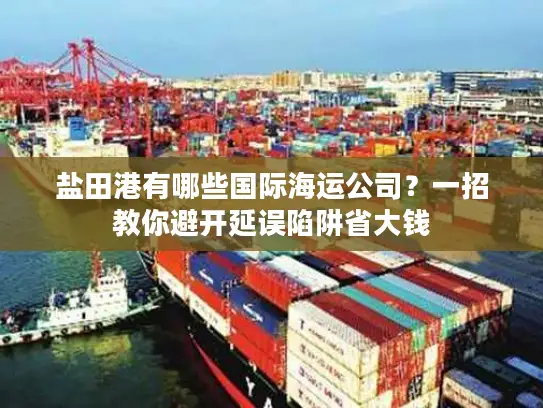 盐田港有哪些国际海运公司？一招教你避开延误陷阱省大钱