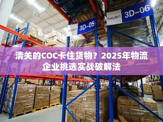 清关的COC卡住货物？2025年物流企业挑选实战破解法