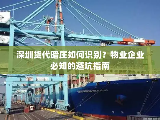 深圳货代暗庄如何识别？物业企业必知的避坑指南